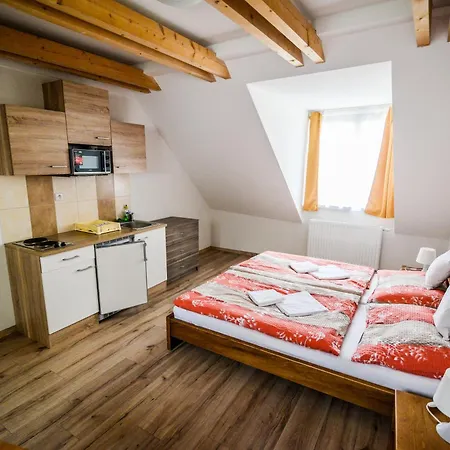 Dueta Apartment *