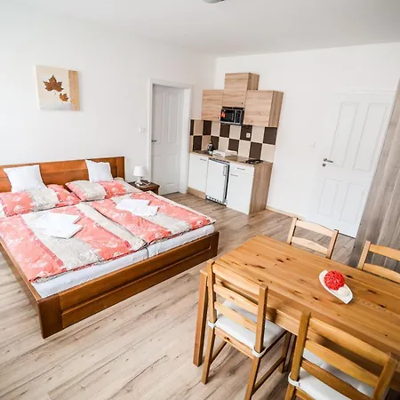 Dueta Apartment *